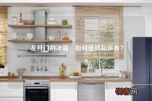 左开门的冰箱：如何维修和保养？