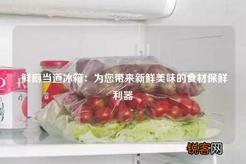 鲜厨当道冰箱：为您带来新鲜美味的食材保鲜利器