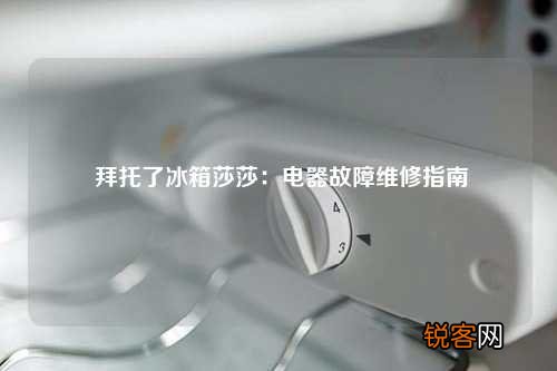 拜托了冰箱莎莎：电器故障维修指南