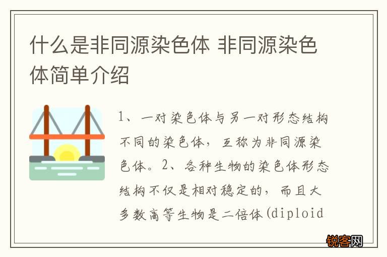 什么是非同源染色体 非同源染色体简单介绍