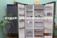 桃冰箱冷藏：如何正确使用和维护您的家用电器