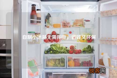 自制小冰箱无需用电，省钱又环保
