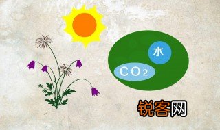 二氧化碳是有机物吗 二氧化碳是不是有机物