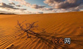 荒漠化和沙漠化的区别 荒漠化和沙漠化有什么区别呢