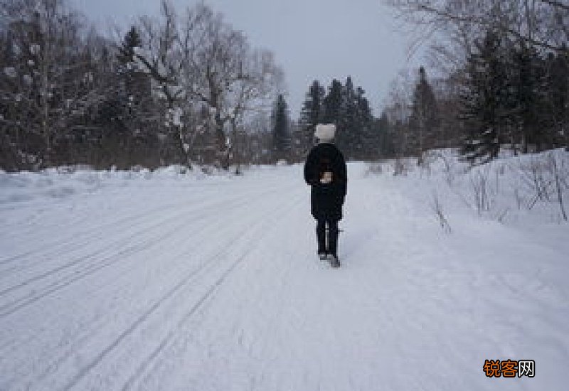 2022年的东北的冬天有大雪吗