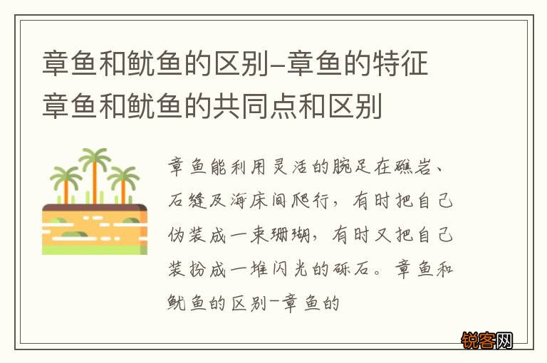 章鱼和鱿鱼的区别-章鱼的特征 章鱼和鱿鱼的共同点和区别