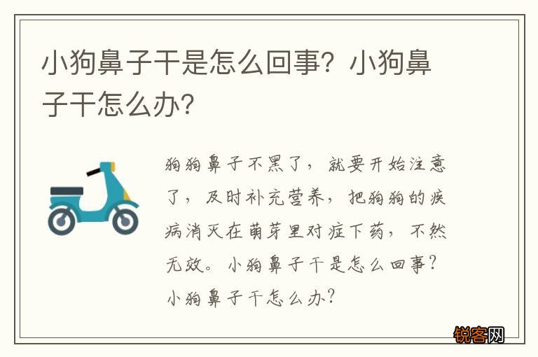 小狗鼻子干是怎么回事？小狗鼻子干怎么办？