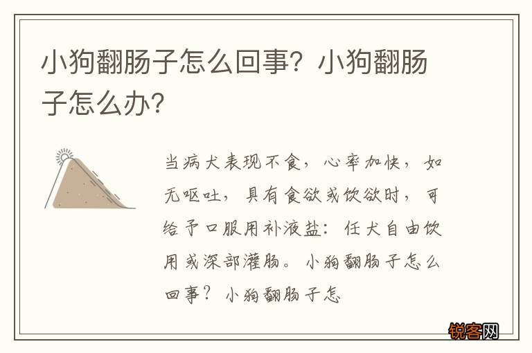 小狗翻肠子怎么回事?小狗翻肠子怎么办?