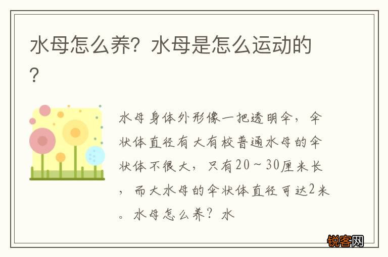 水母怎么养？水母是怎么运动的？