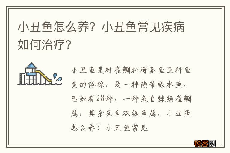 小丑鱼怎么养？小丑鱼常见疾病如何治疗？