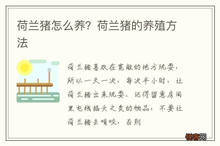 荷兰猪怎么养？荷兰猪的养殖方法