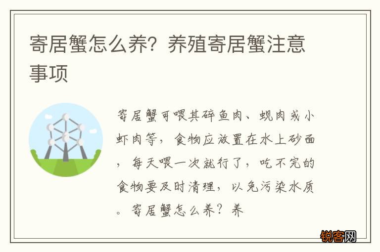 寄居蟹怎么养？养殖寄居蟹注意事项
