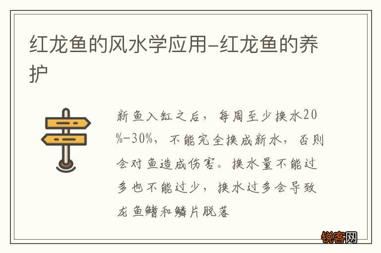 红龙鱼的风水学应用-红龙鱼的养护