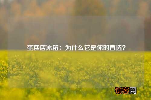 蛋糕店冰箱：为什么它是你的首选？
