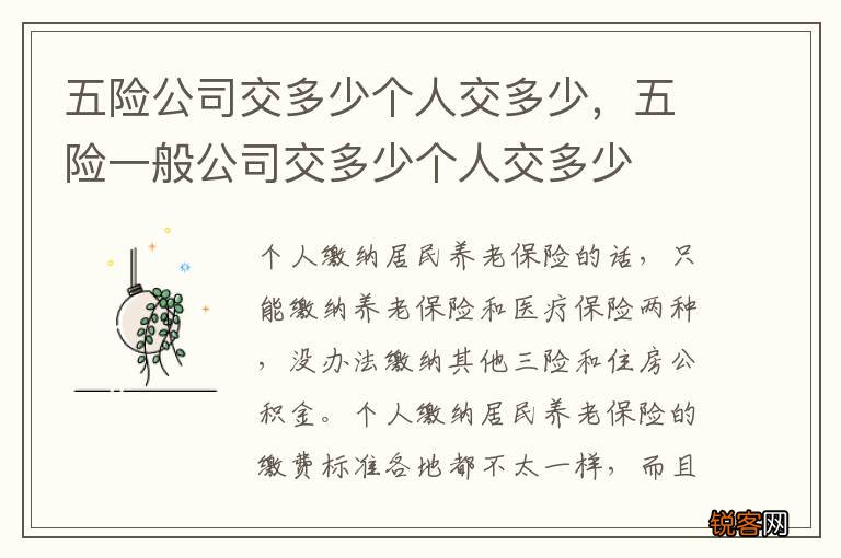 五险公司交多少个人交多少，五险一般公司交多少个人交多少