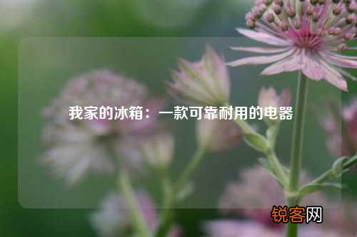 我家的冰箱:一款可靠耐用的电器