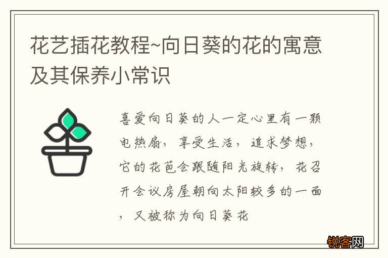花艺插花教程~向日葵的花的寓意及其保养小常识