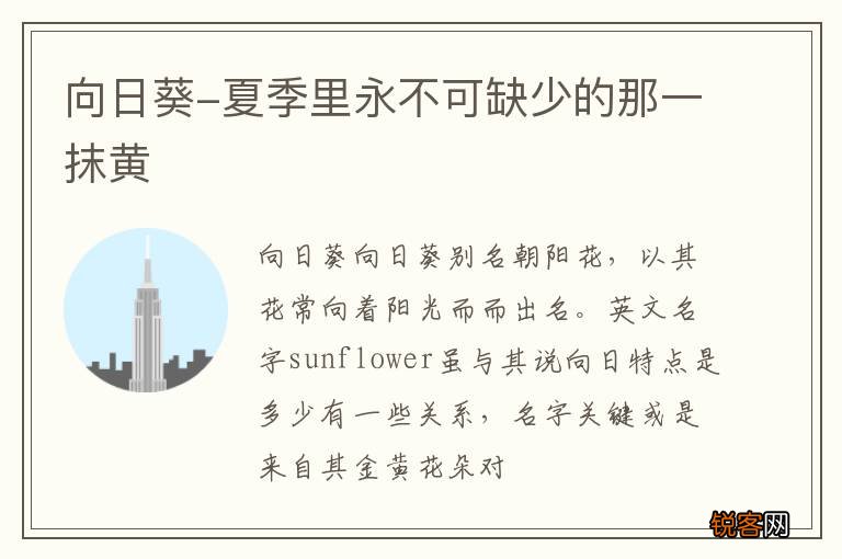 向日葵-夏季里永不可缺少的那一抹黄