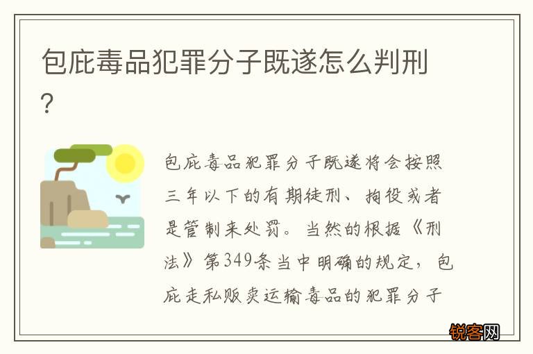 包庇毒品犯罪分子既遂怎么判刑？