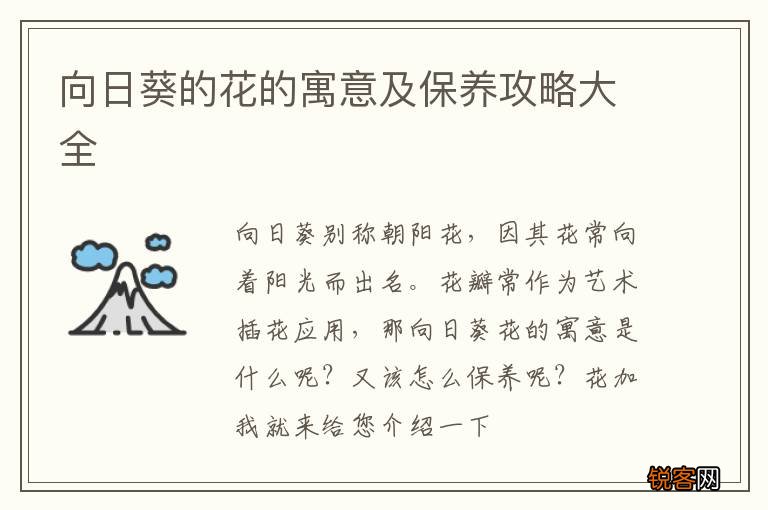 向日葵的花的寓意及保养攻略大全