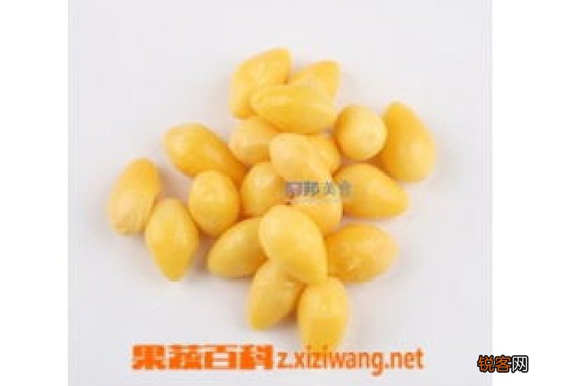 白果的营养价值有哪些 白果的功效作用有哪些