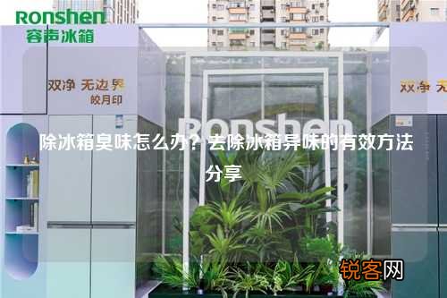 除冰箱臭味怎么办？去除冰箱异味的有效方法分享