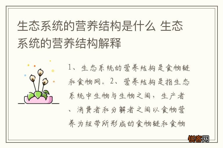 生态系统的营养结构是什么 生态系统的营养结构解释