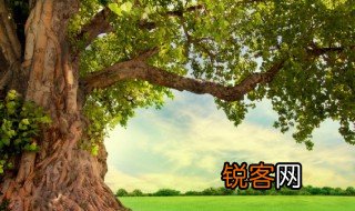 环境容纳量是什么 环境容纳量的解释