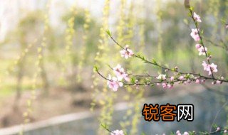当春乃发生前一句是什么 春夜喜雨古诗解析