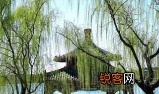 碧玉妆成一树高万条垂下绿丝绦诗句的意思是什么 碧玉妆成一树高原文及译文介绍