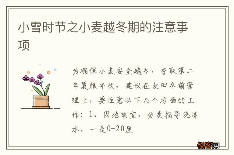 小雪时节之小麦越冬期的注意事项