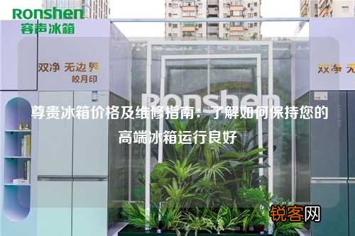 尊贵冰箱价格及维修指南：了解如何保持您的高端冰箱运行良好