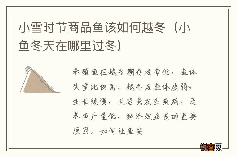 小鱼冬天在哪里过冬 小雪时节商品鱼该如何越冬