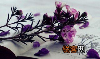 草色遥看近却无的上一句是什么 草色遥看近却无的上一句解释