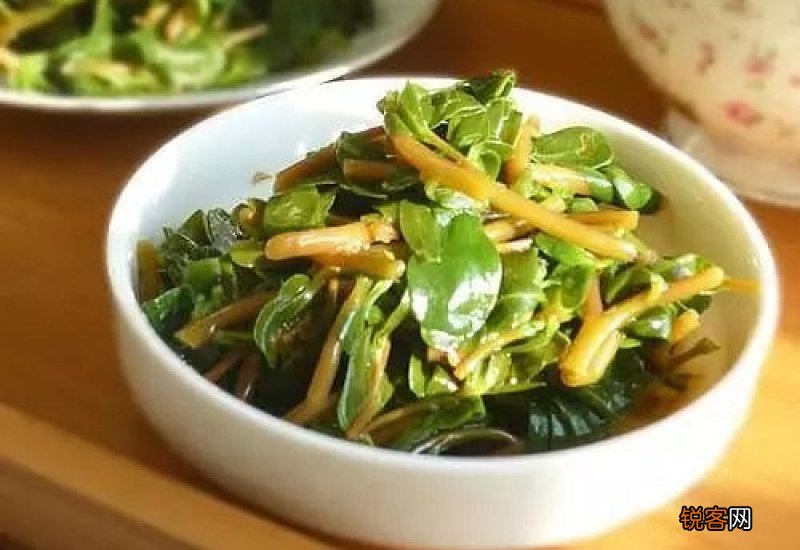马齿苋每天可以吃多少