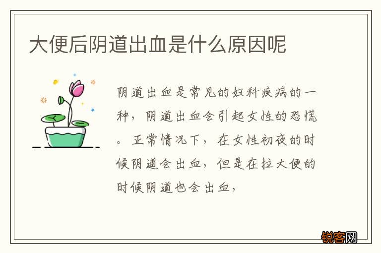 大便后阴道出血是什么原因呢