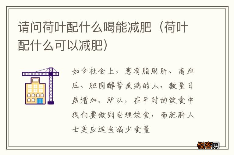 荷叶配什么可以减肥 请问荷叶配什么喝能减肥