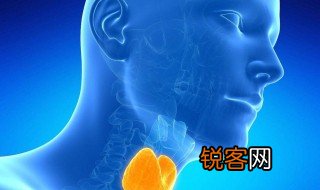 甲功八项是什么 甲功八项简单介绍