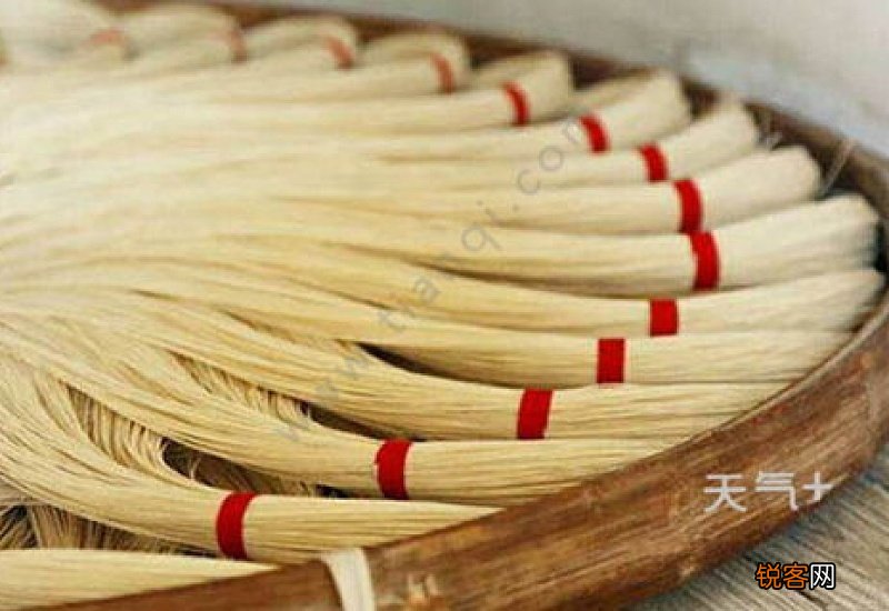 沧州能带走送人的特产