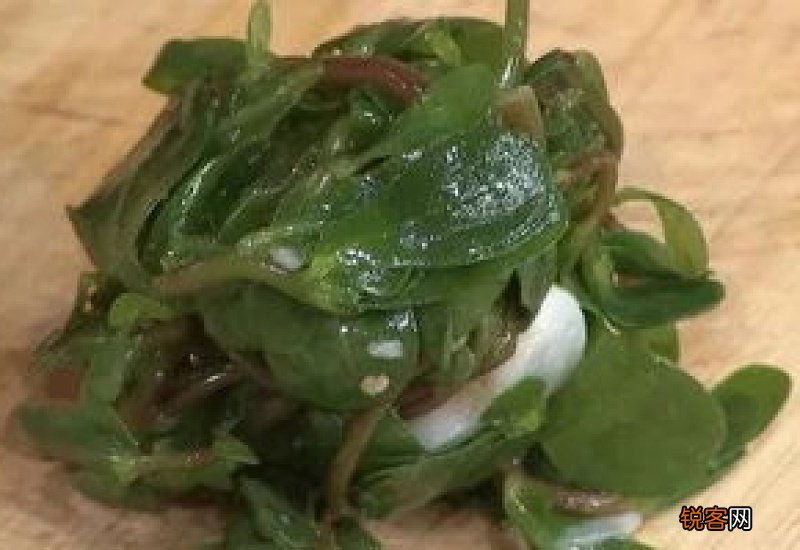 吃马齿苋腹痛拉稀为何
