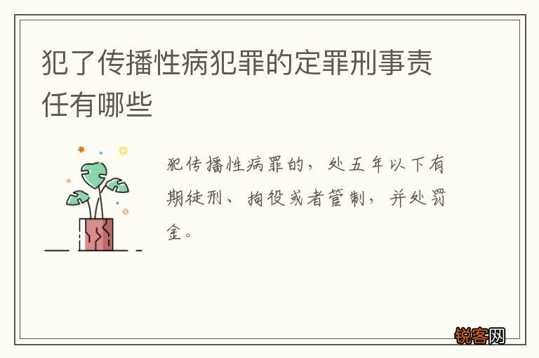 犯了传播性病犯罪的定罪刑事责任有哪些