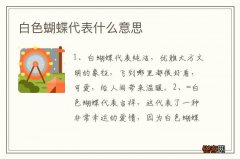 白色蝴蝶代表什么意思
