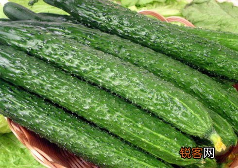 教你如何慧眼识蔬菜