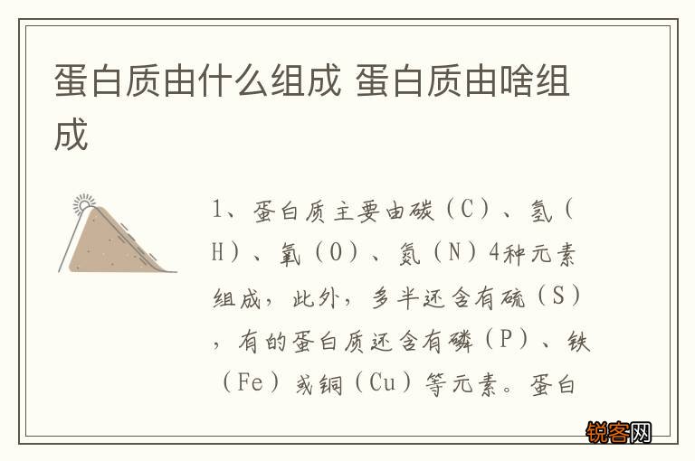 蛋白质由什么组成 蛋白质由啥组成