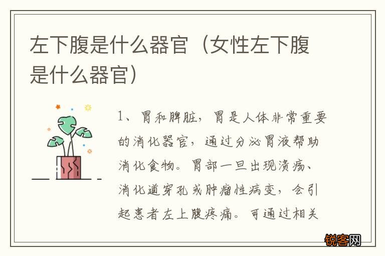 女性左下腹是什么器官 左下腹是什么器官