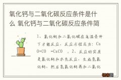 氧化钙与二氧化碳反应条件是什么 氧化钙与二氧化碳反应条件简单介绍
