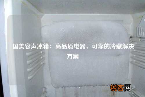 国美容声冰箱：高品质电器，可靠的冷藏解决方案