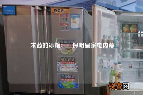 宋茜的冰箱：一探明星家电内幕