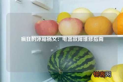 疯狂的冰箱杨文：电器故障维修指南