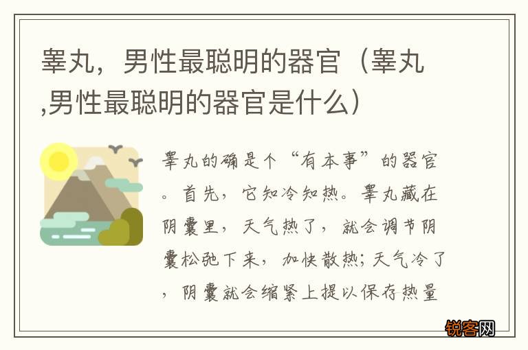 睾丸,男性最聪明的器官是什么 睾丸，男性最聪明的器官